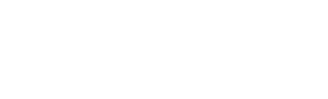 Bongshin Ko